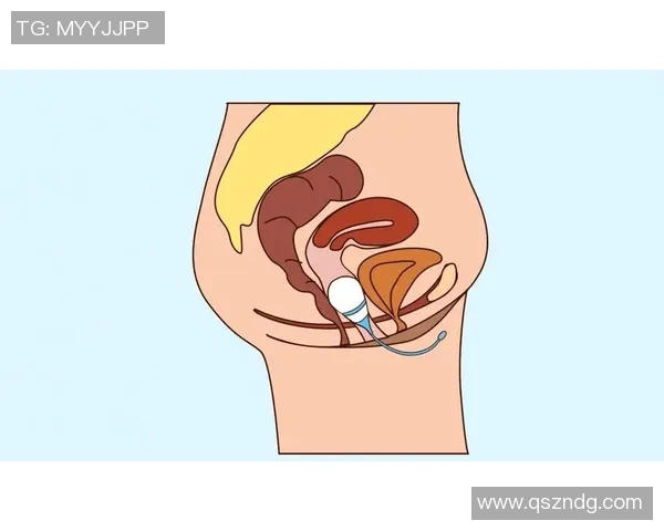 凯格尔运动的正确方法与技巧解析助力女性健康提升与盆底肌修复