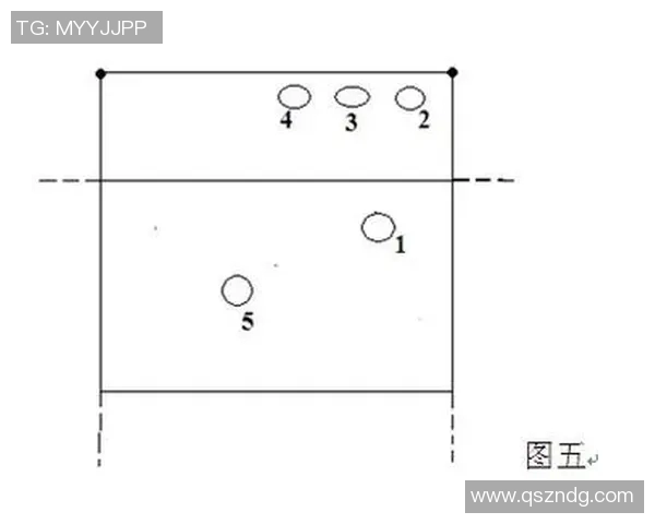 南京排球队的战术控制与发展趋势深度解析