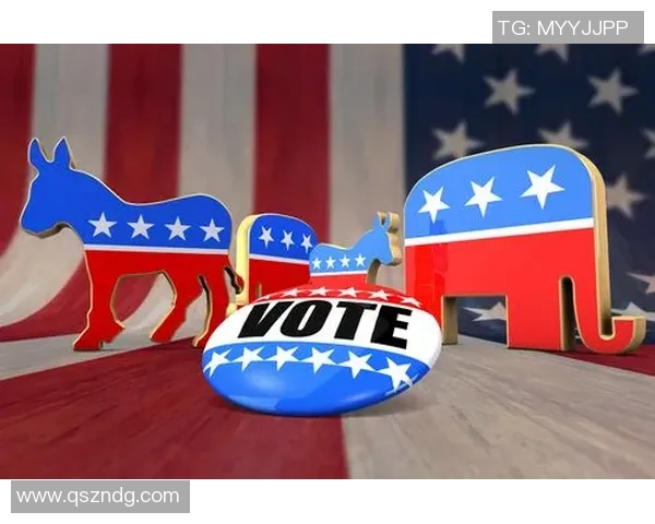 选举制度改革与民主进程:全球视野下的经验与挑战分析 选举制度改革与民主进程:全球视野下的经验与挑战分析