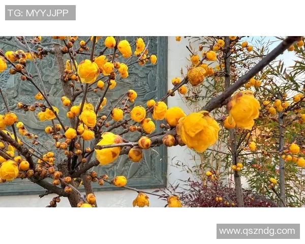 武汉旅游景点大揭秘：好玩不容错过