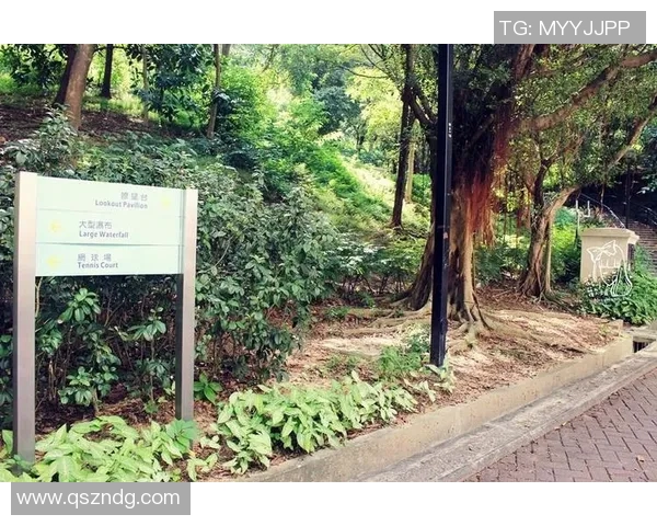 青衣运动场:活力四射的城市运动空间与社区文化交融的多功能场所 青衣运动场:活力四射的城市运动空间与社区文化交融的多功能场所